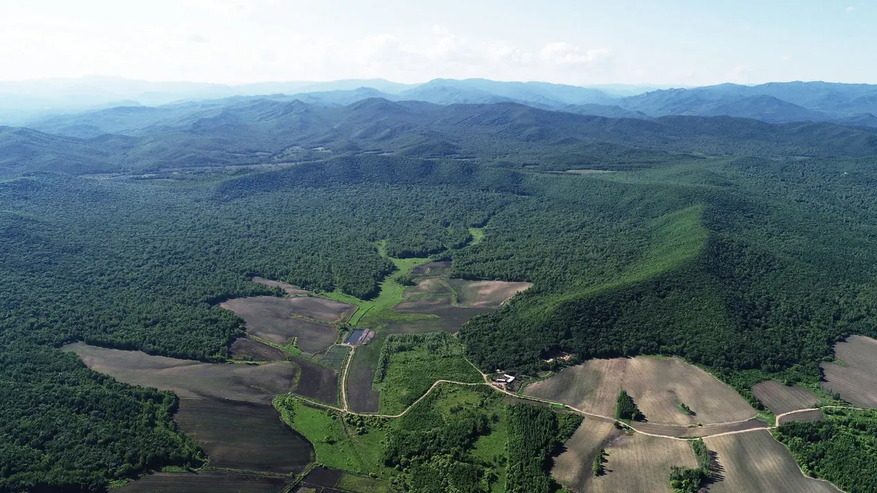 Aerial view of forested hills and farmland in the Yilan area under a pale blue sky
