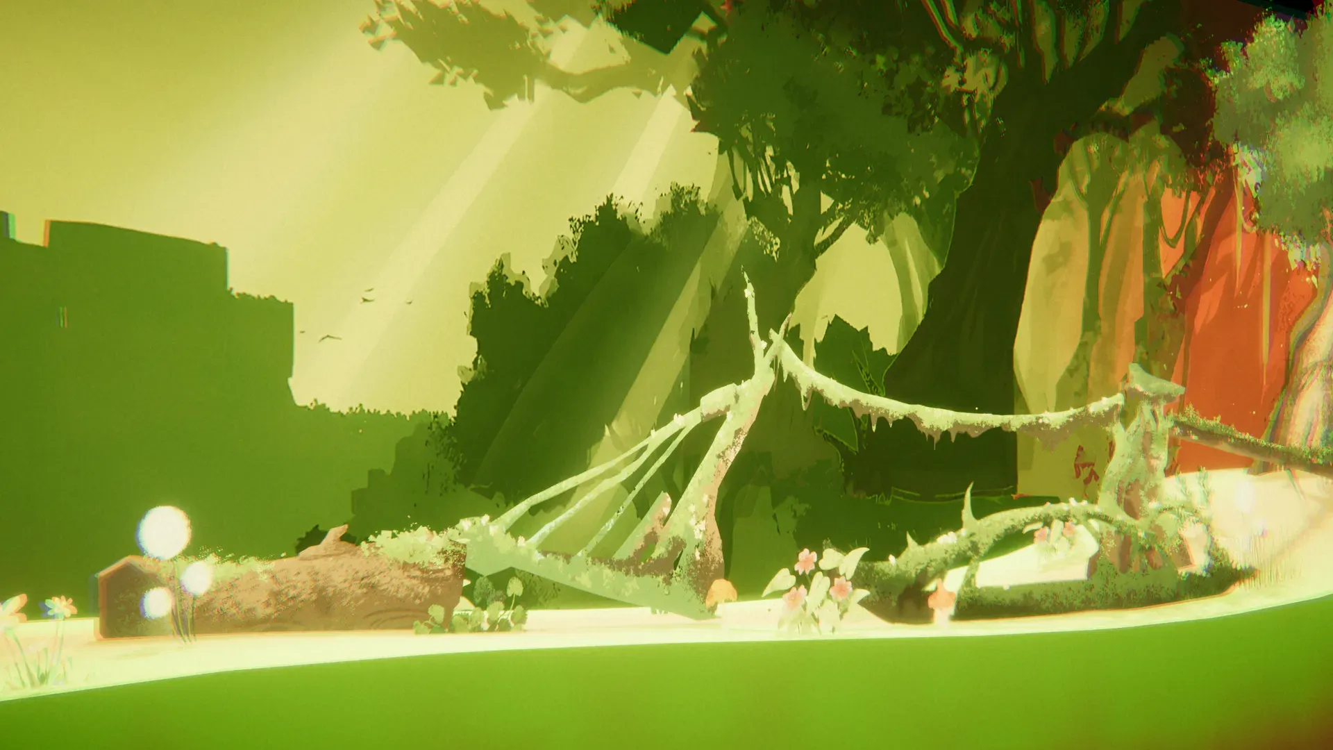 A bridge of fallen branches and vines across the green forest floor