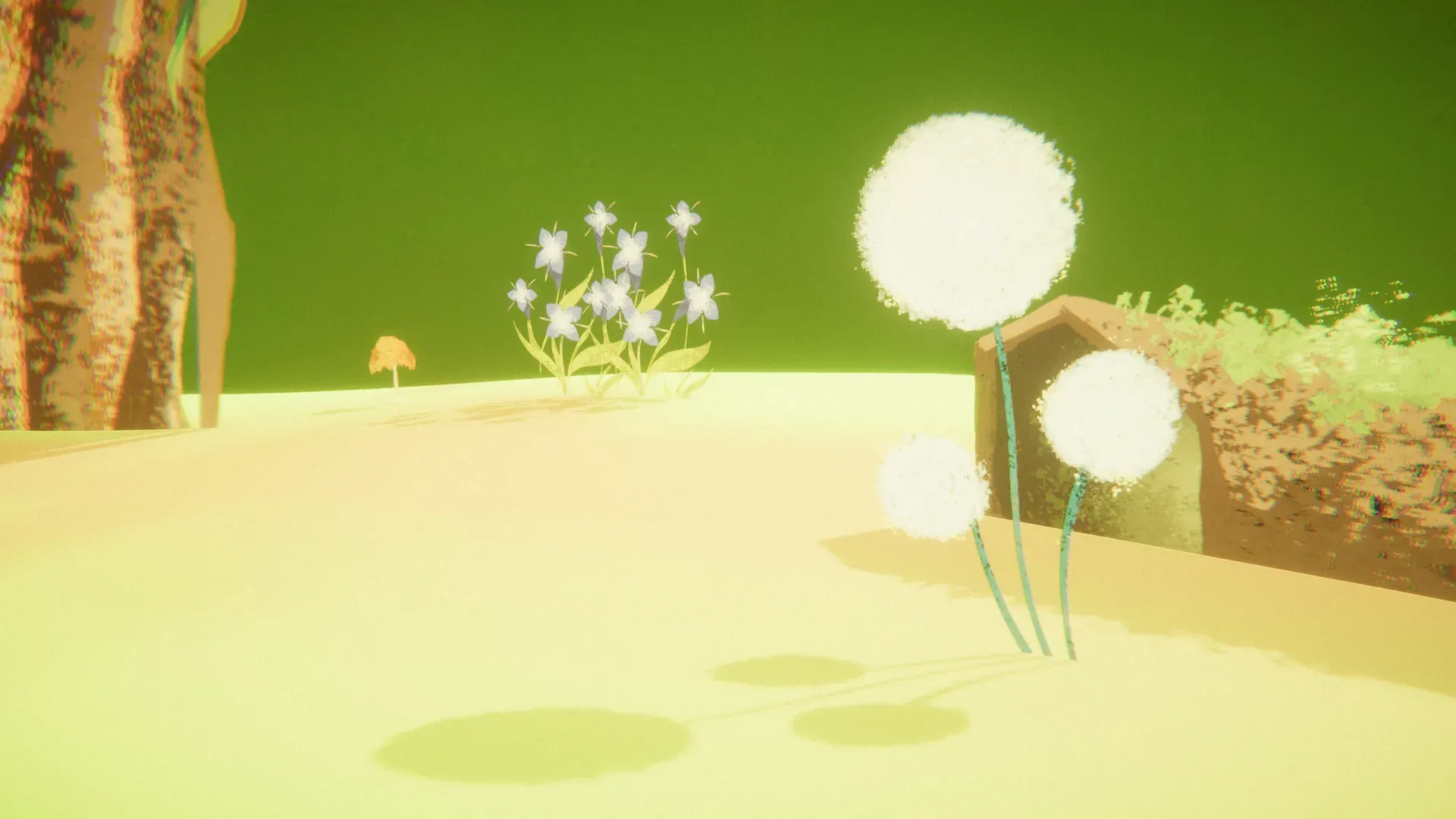 White dandelions in a yellow-green meadow casting soft shadows on the ground