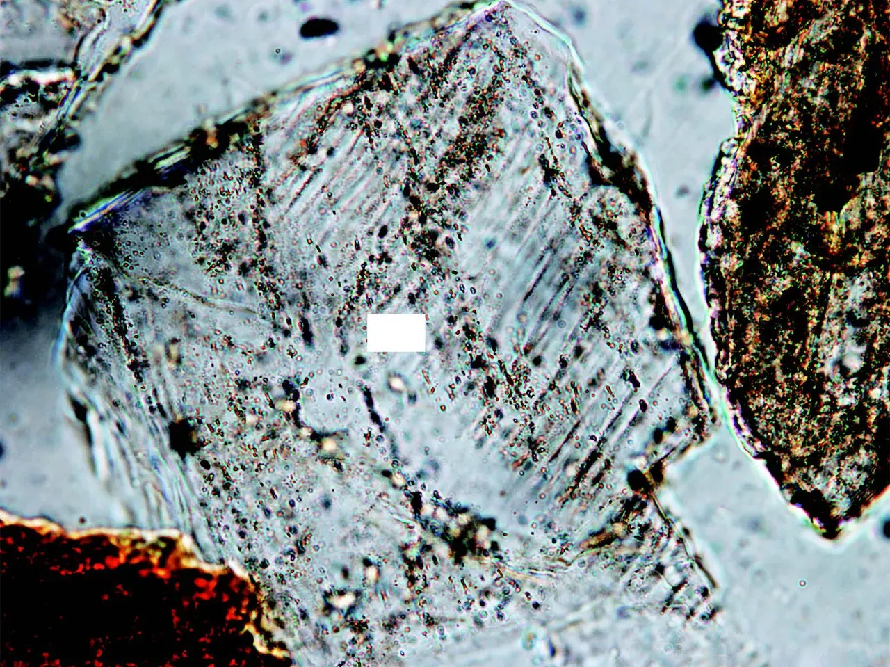 Microscope view of a granite thin section with a shock-deformed crystal