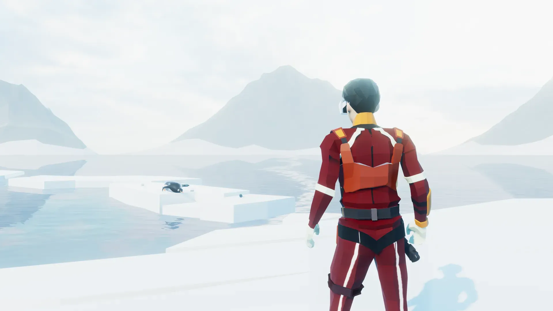 The researcher seen from behind on a snowy shore with mountains ahead
